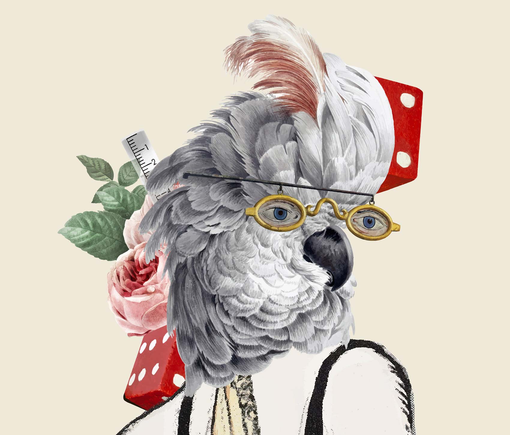 Grafikdesign Trend 2025 Illustration trifft Fotografie